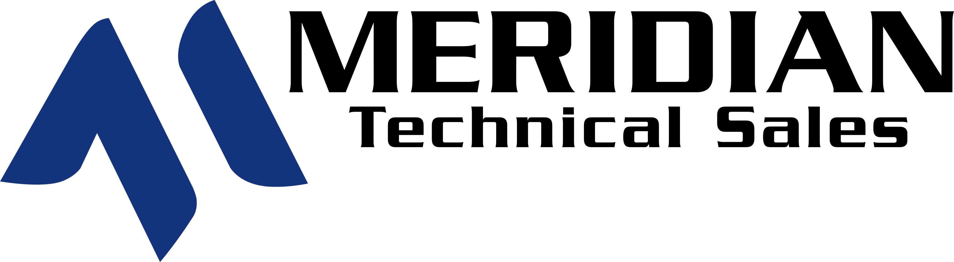 Meridiantech logo